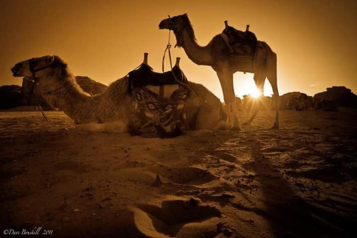 Wadi Rum Fun Time Tour'S Exterior photo