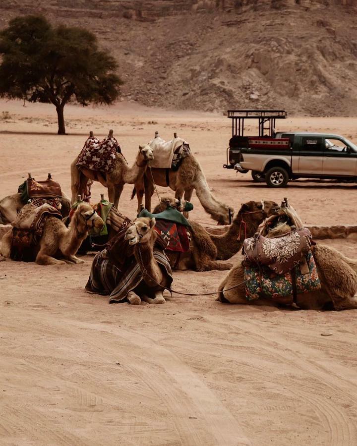 Wadi Rum Fun Time Tour'S Exterior photo