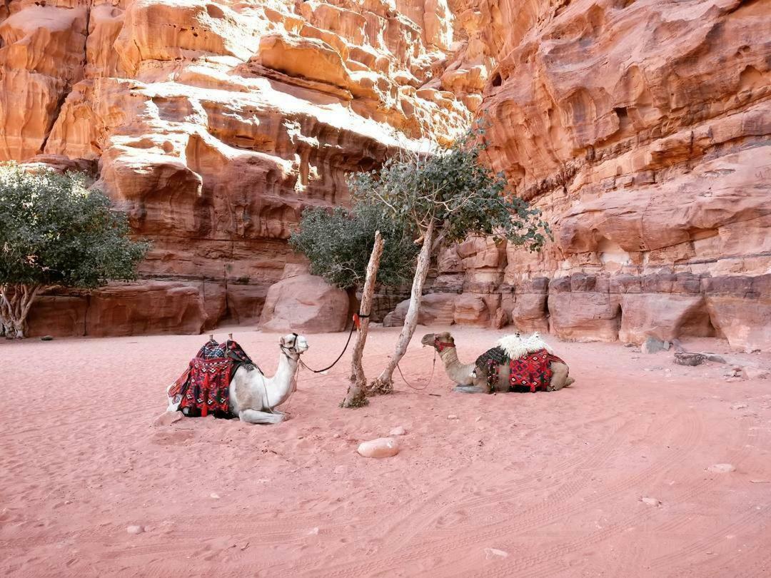 Wadi Rum Fun Time Tour'S Exterior photo
